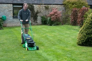 Lawn